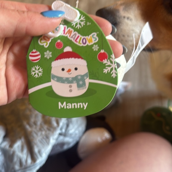 Manny - Picture 2 of 2